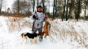 охота с гончей.mp4