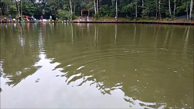 На спорт зоне сегодня всё по прежнему. Море поимок и клёв форели! Клёвое место, Лосиный остров смотреть онлайн