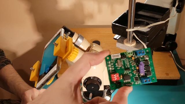 Путешествие в микромир. Или что можно увидеть в микроскоп.