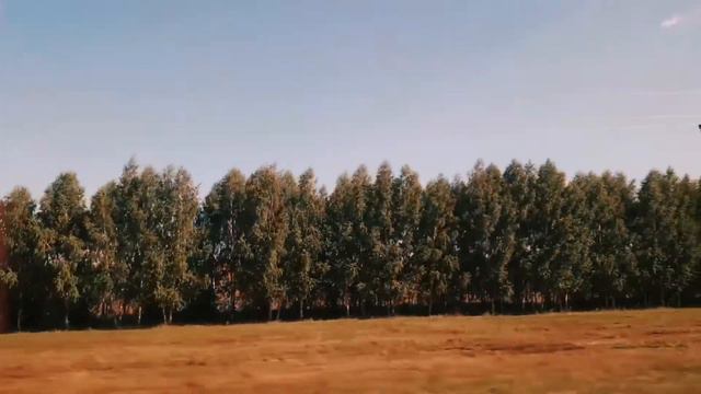 Морские приключения и приключенцы 