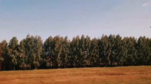 КАК МЫ ОТДЫХАЛИ В НУГУШЕ | Отдых | 2022 ВЛОГ 🧙♂️  #нугуш #башкирия #отдых2022