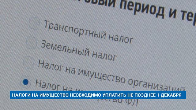 НАЛОГИ НА ИМУЩЕСТВО НЕОБХОДИМО УПЛАТИТЬ НЕ ПОЗДНЕЕ 1 ДЕКАБРЯ смотреть онлайн