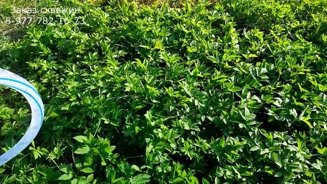 Крындец скважине или неправильное подключение смотреть онлайн