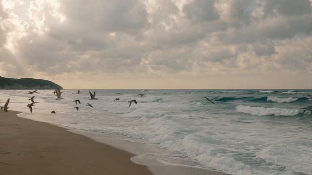 Sile Atmosphere | Sony A7SIII + Gmaster 24-70 II смотреть онлайн