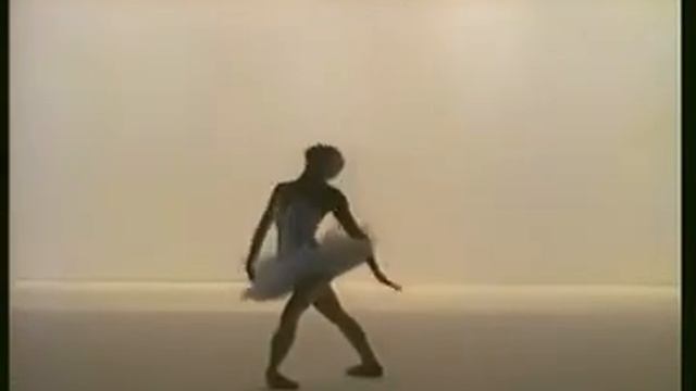 Лебедь Майя Плесецкая