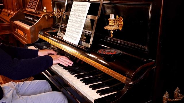 Pleyel Pianino - Chopin - Mazurka Op. 33 n°4 - Well Temperament, Thomas Young 2 смотреть онлайн