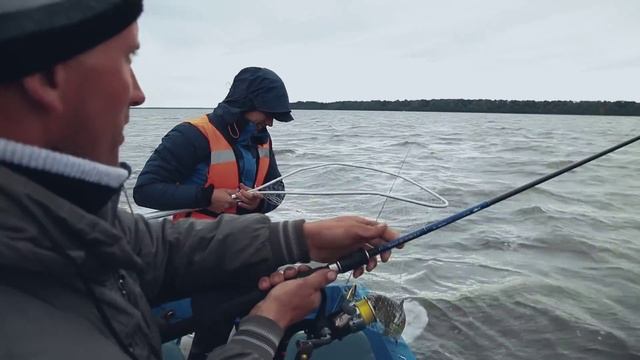 Ловля трофейного жереха на Волге. Рыбалка август 2015. Втрой сезон, 2 серия. смотреть онлайн