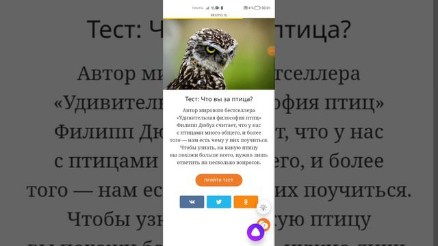 мой взгляд после сада/учёбы/университета/работы/пенсии. [А так тут будет тест про котов] смотреть онлайн