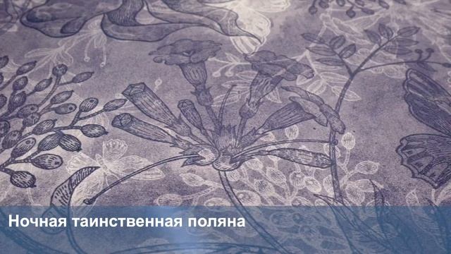 3D Фотообои «Ночная таинственная поляна» смотреть онлайн