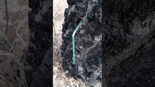 Я в дороге, я в пути!