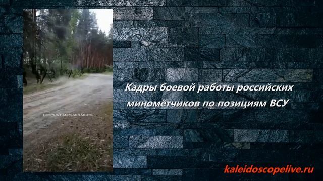 Кадры боевой работы российских миномётчиков по позициям ВСУ. смотреть онлайн