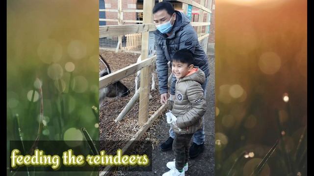 Feeding the reindeers / Santa's Reindeers / Christmas Activity For Kids смотреть онлайн