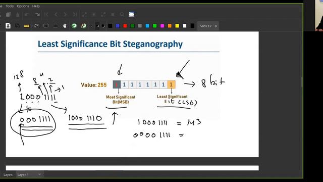 Least Significant Bit (LSB)