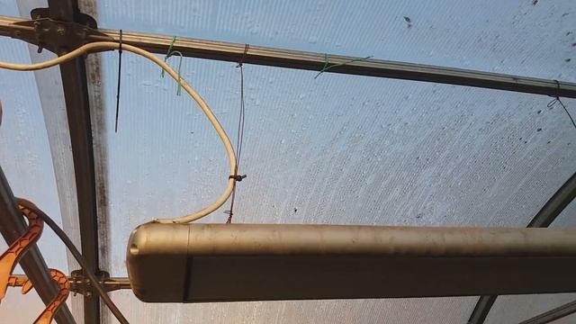 Отопление теплицы электрическими инфракрасными обогревателями смотреть онлайн