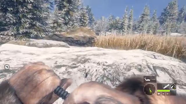 theHunter: Call of the Wild - Гранкин в руках смотреть онлайн