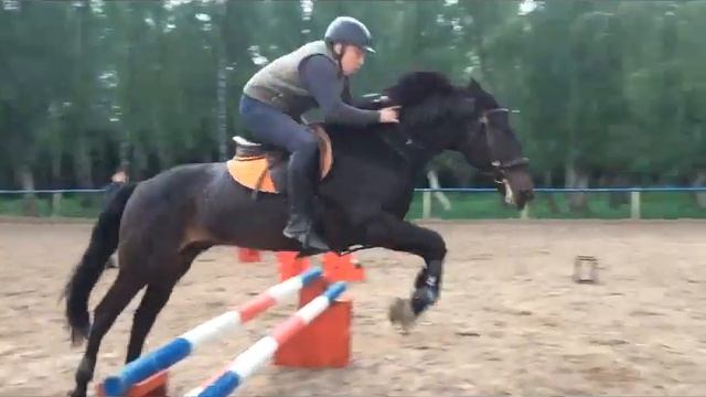 Тренировка по конкуру на Прибое (horse jumping training) смотреть онлайн