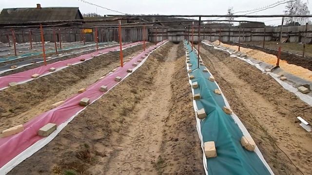 Самая надёжная защита от заморозка, на винограднике. смотреть онлайн