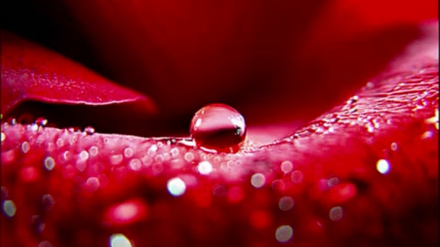 Roxette - Listen To Your Heart смотреть онлайн