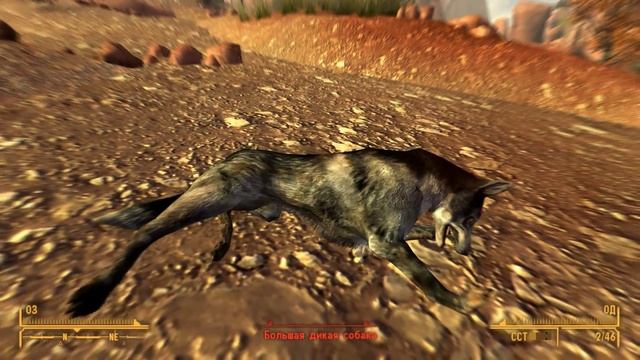 Прохождение Fallout New Vegas Honest Hearts # 1: Мертвые лошади. смотреть онлайн