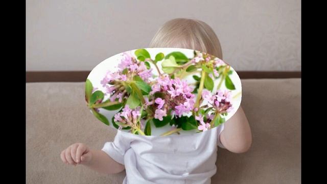 Мамины ладони Видео 234 смотреть онлайн