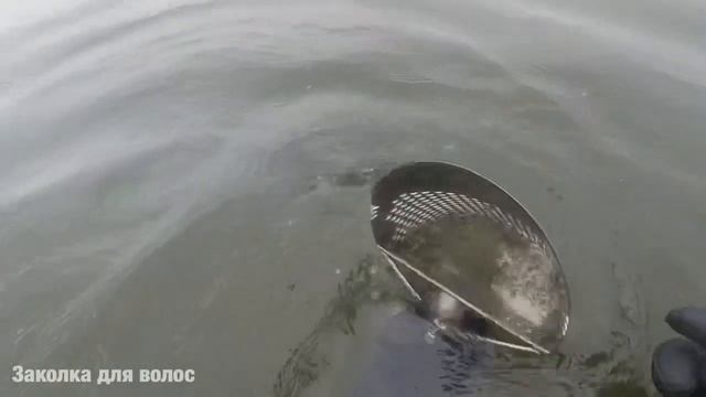 Можно ли найти на пляже с Minelab Equinox 600 за два часа ювелирку??? смотреть онлайн