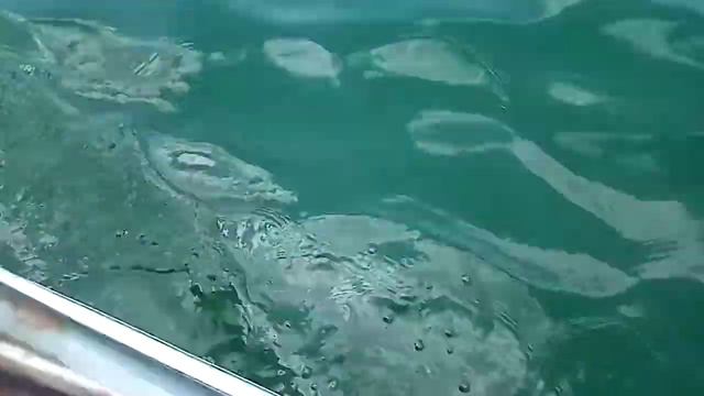 отдых в Крыму смотреть онлайн