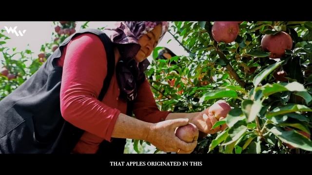 Kazakhstan : The Most Unique Country! | Cinematic Documentary Video смотреть онлайн