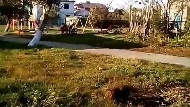 10 ноября 2018 г. Бердянск микрорайон колония смотреть онлайн