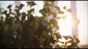 Рамзан Кадыров   Нашид от  дочерей Хутмат, Ашура, Табарик