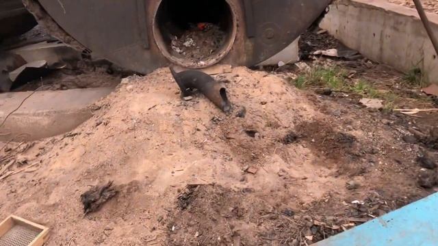 БИЗНЕС ПРОИЗВОДСТВО УГЛЯ |ОТЛИЧНЫЙ БИЗНЕС С НЕБОЛЬШИМИ ВЛОЖЕНИЯМИ смотреть онлайн