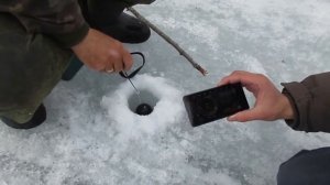 Умный эхолот DEEPER Smart Fishfinder 3 0 - зимняя рыбалка