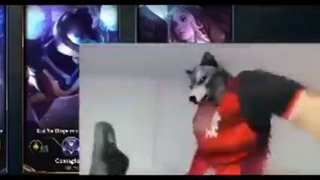 LUAN GAMEPLAY DANÇANDO ANIMALS смотреть онлайн