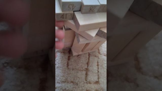 построил дом из джэнги