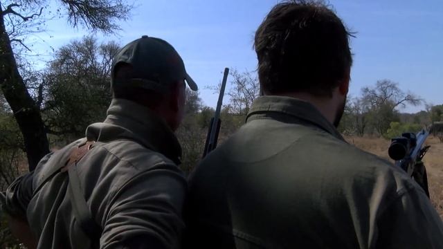 Стихия африканской охоты | Часть 5 смотреть онлайн