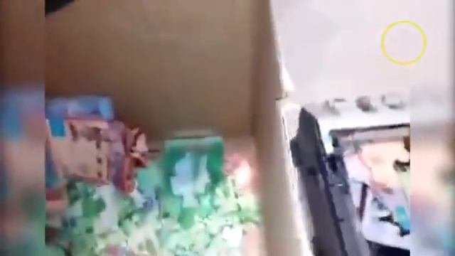 Мыши сгрызли деньги смотреть онлайн