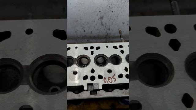 Дорожный компаньон