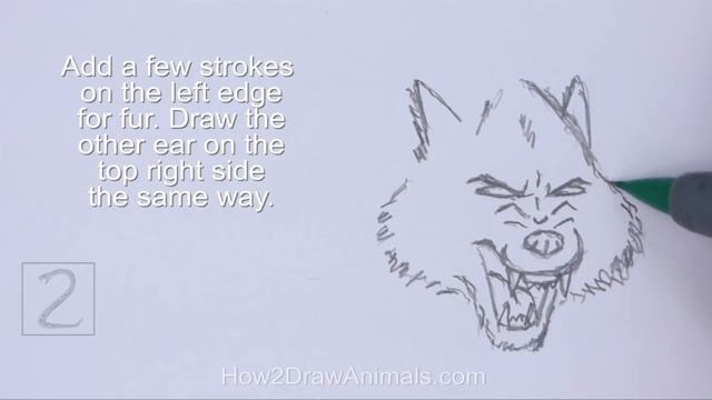 How to Draw a Wolf Growling / Snarling (Cartoon) смотреть онлайн