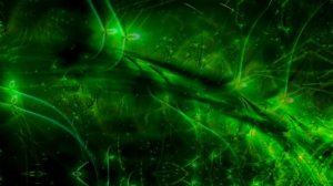 Видеофоны!!! Видеофон Лесные фантазии!!! Футаж для монтажа видео и клипов!!! Волшебный видеофон!!!