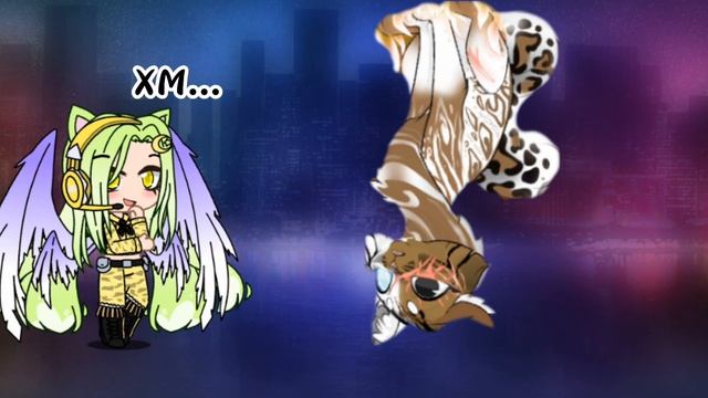 Lv_0_20231128112212.mp4