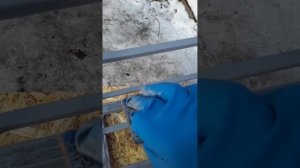 Покраска металла губкой.