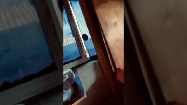 Строю сам ???? смотреть онлайн