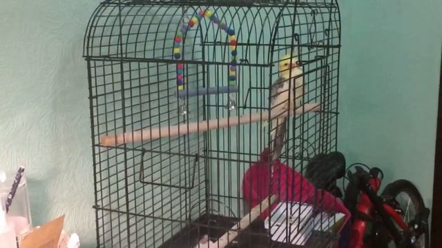 Деньги на YouTube. Вязаная кнопка YouTube. Как получать донаты со стрима. Монетизация смотреть онлайн