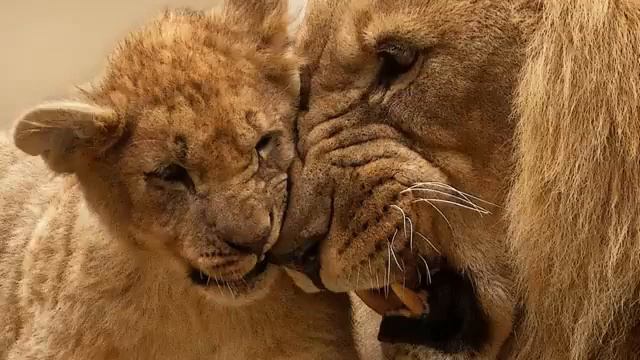 👍ТВОРЧЕСТВО. Алхимия Сознания. Две Реки👍 смотреть онлайн