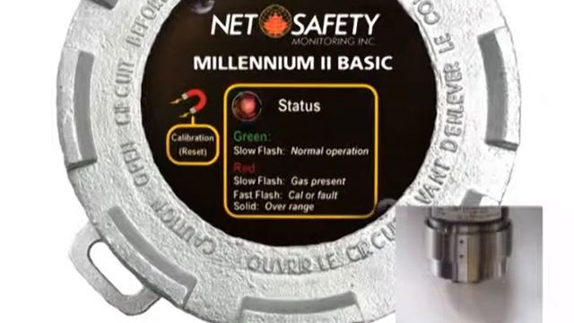 Net Safety Millennium II BASIC Sensors - Zero & Span