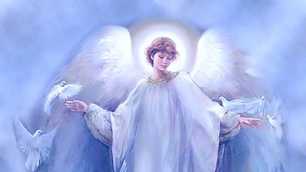 Белая птица смотреть онлайн