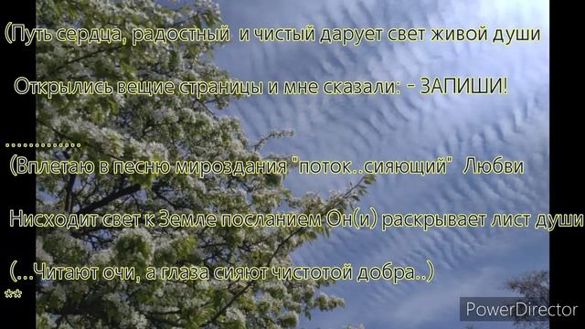 Стихотворение (путь сердца) #2 смотреть онлайн