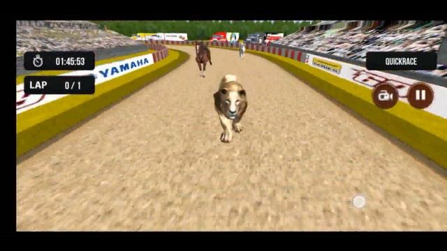 Wild Lion Racing Fever Animal Race by Power Games смотреть онлайн