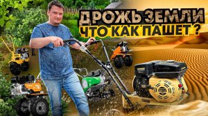 Какой культиватор выбрать ? Обзор на DAEWOO, Champion, Steher, Caiman !
