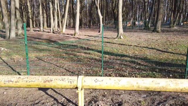 Где лучше жить в Калининграде? Гурьевск: пригоден для жилья или нет. Цены на квартиры. смотреть онлайн
