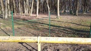 Где лучше жить в Калининграде? Гурьевск: пригоден для жилья или нет. Цены на квартиры.